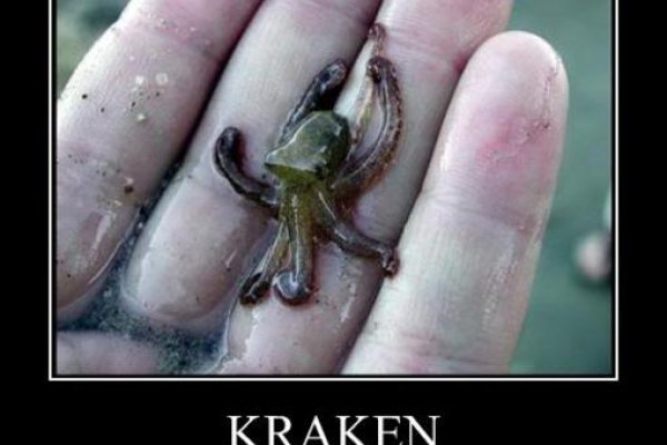 Kraken dark market