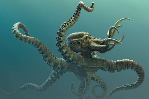 Как зайти на kraken